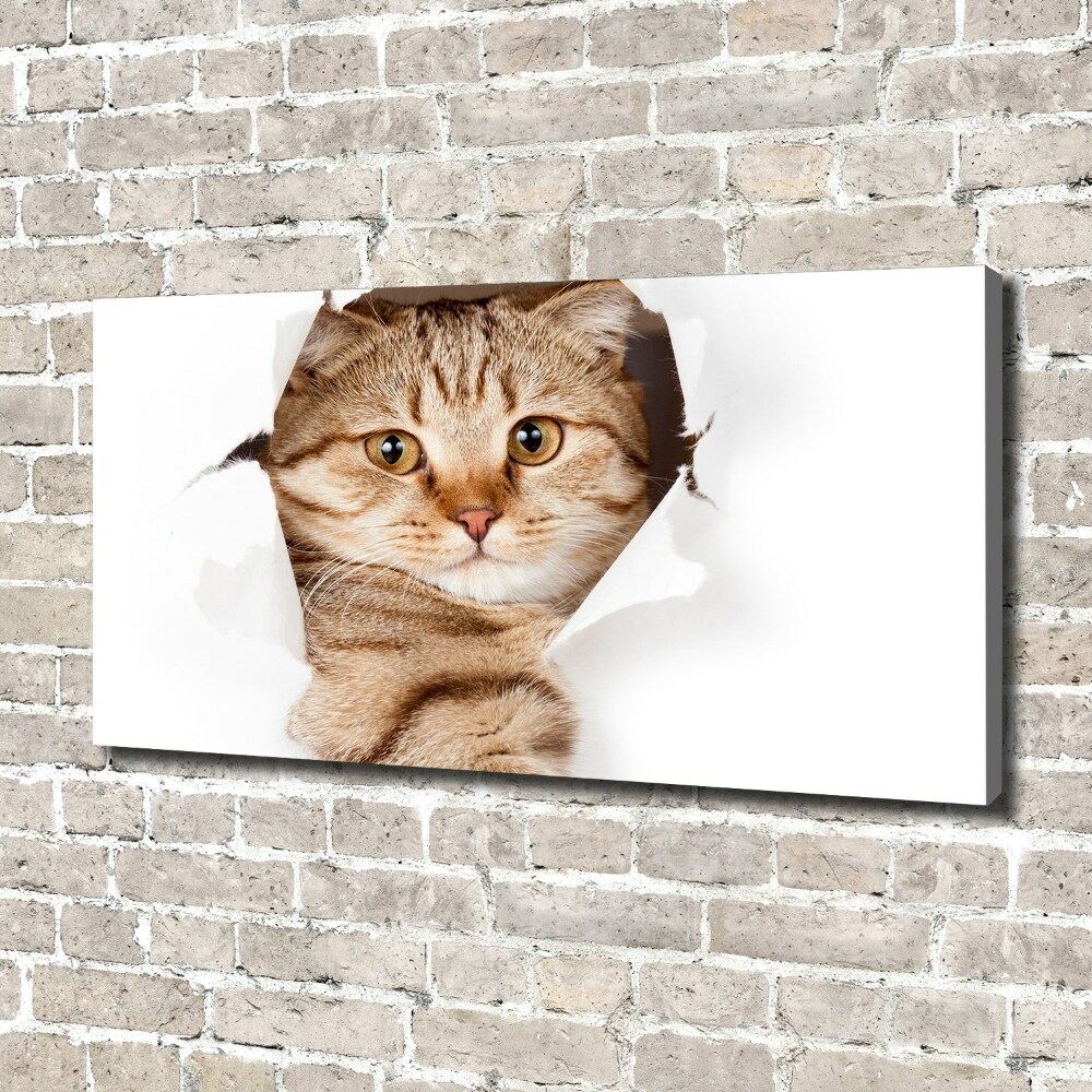 Tableau imprimé sur toile Chat