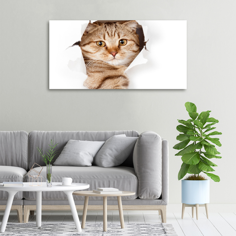 Tableau imprimé sur toile Chat