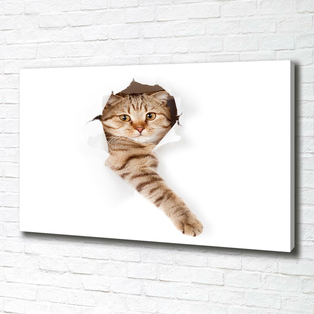 Tableau imprimé sur toile Chat