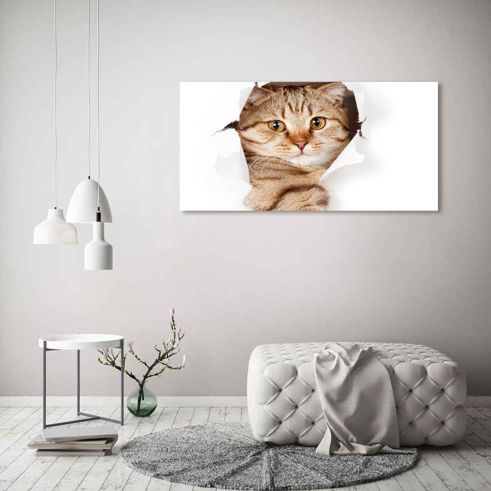 Tableau imprimé sur toile Chat