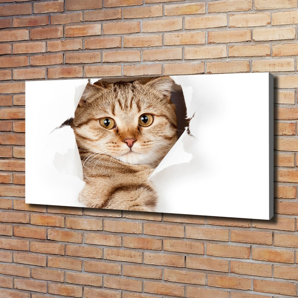 Tableau imprimé sur toile Chat