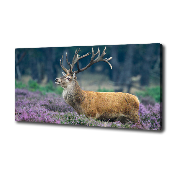 Tableau imprimé sur toile Cerf dans la lavande