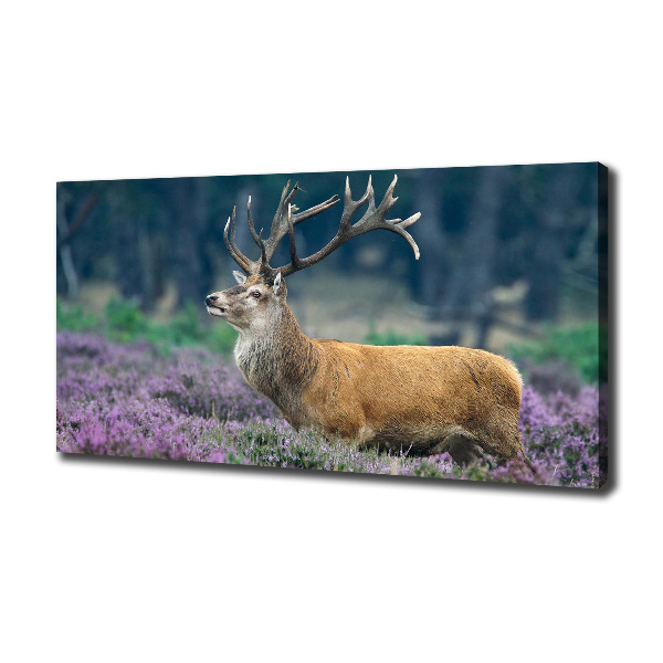 Tableau imprimé sur toile Cerf dans la lavande