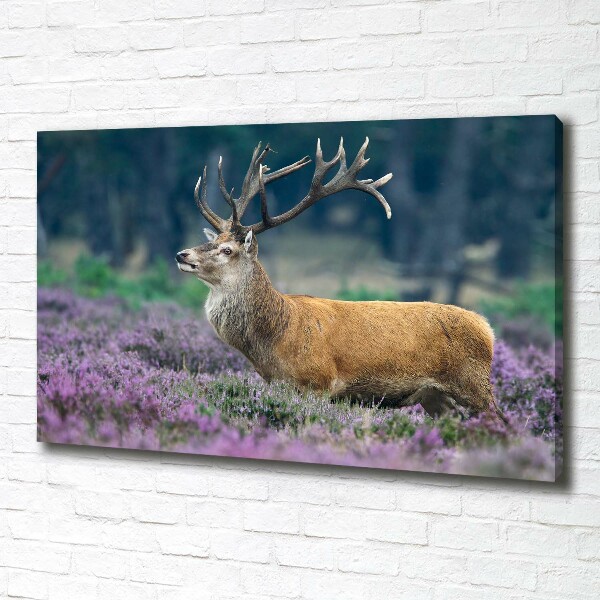 Tableau imprimé sur toile Cerf dans la lavande