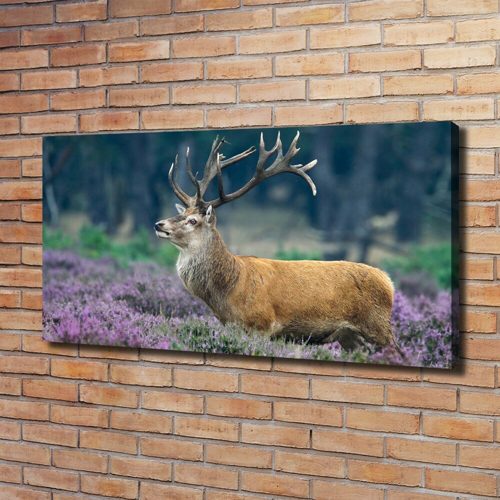 Tableau imprimé sur toile Cerf dans la lavande