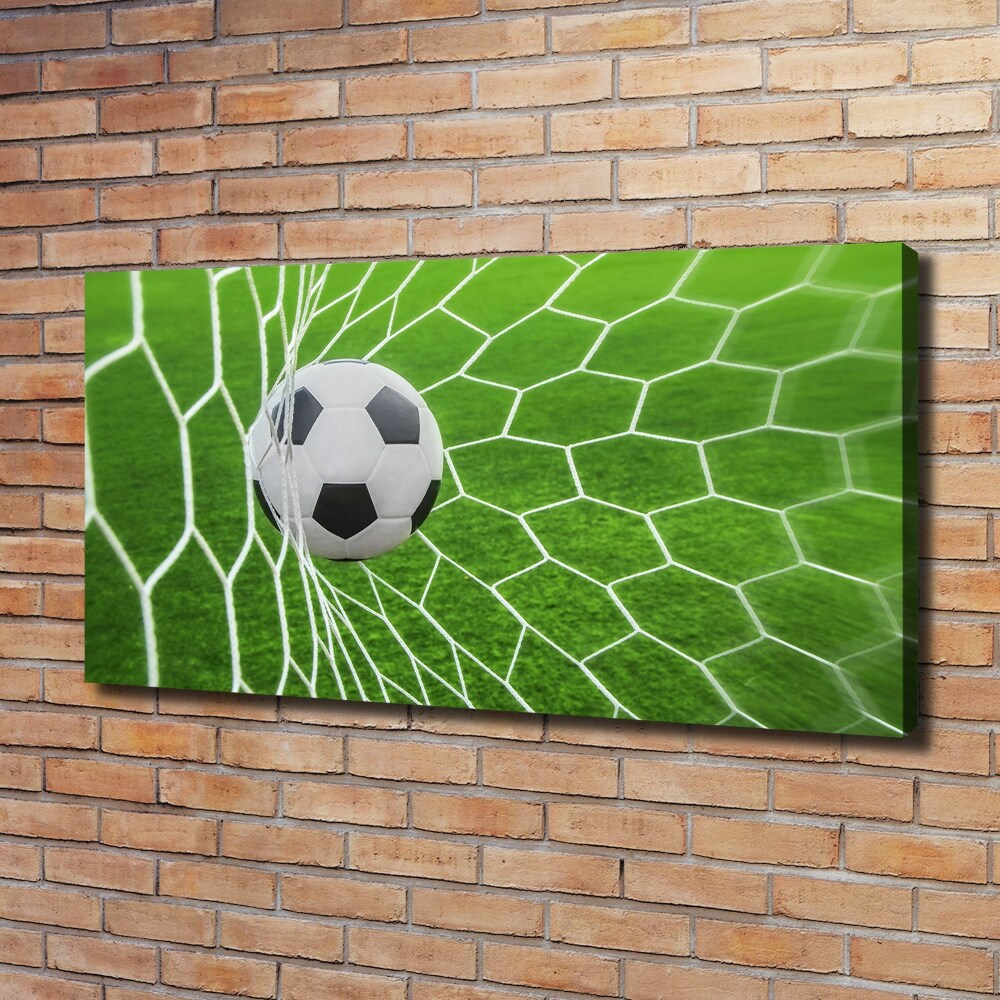 Tableau imprimé sur toile Le ballon dans les grilles