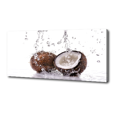 Tableau imprimé sur toile Noix de coco et eau