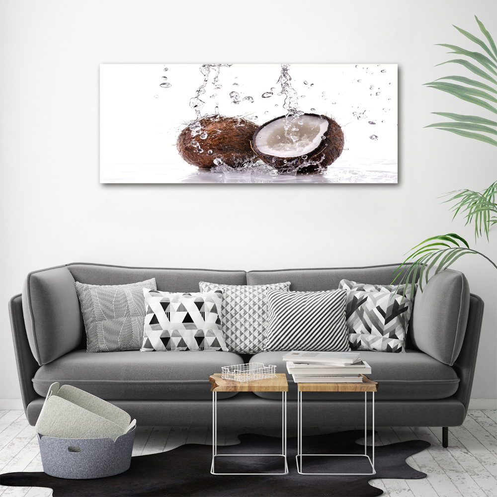 Tableau imprimé sur toile Noix de coco et eau