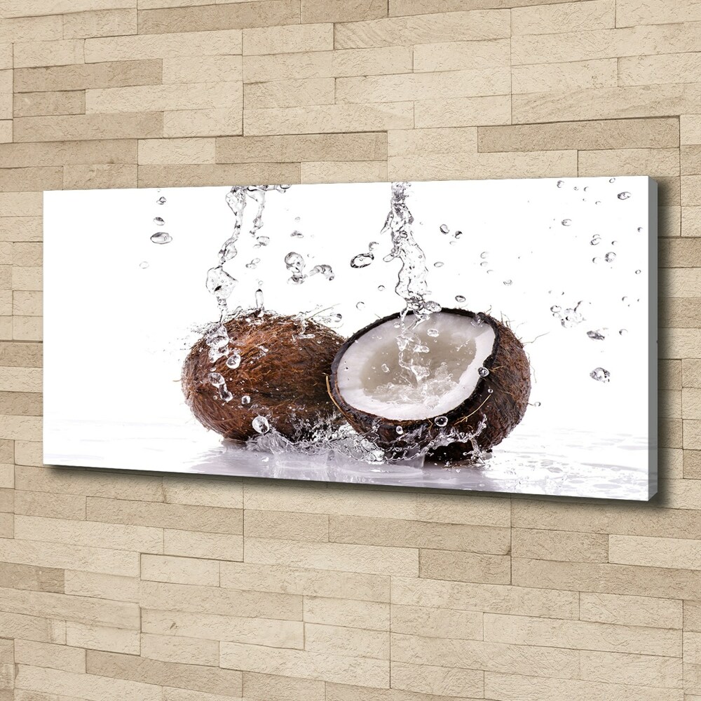 Tableau imprimé sur toile Noix de coco et eau