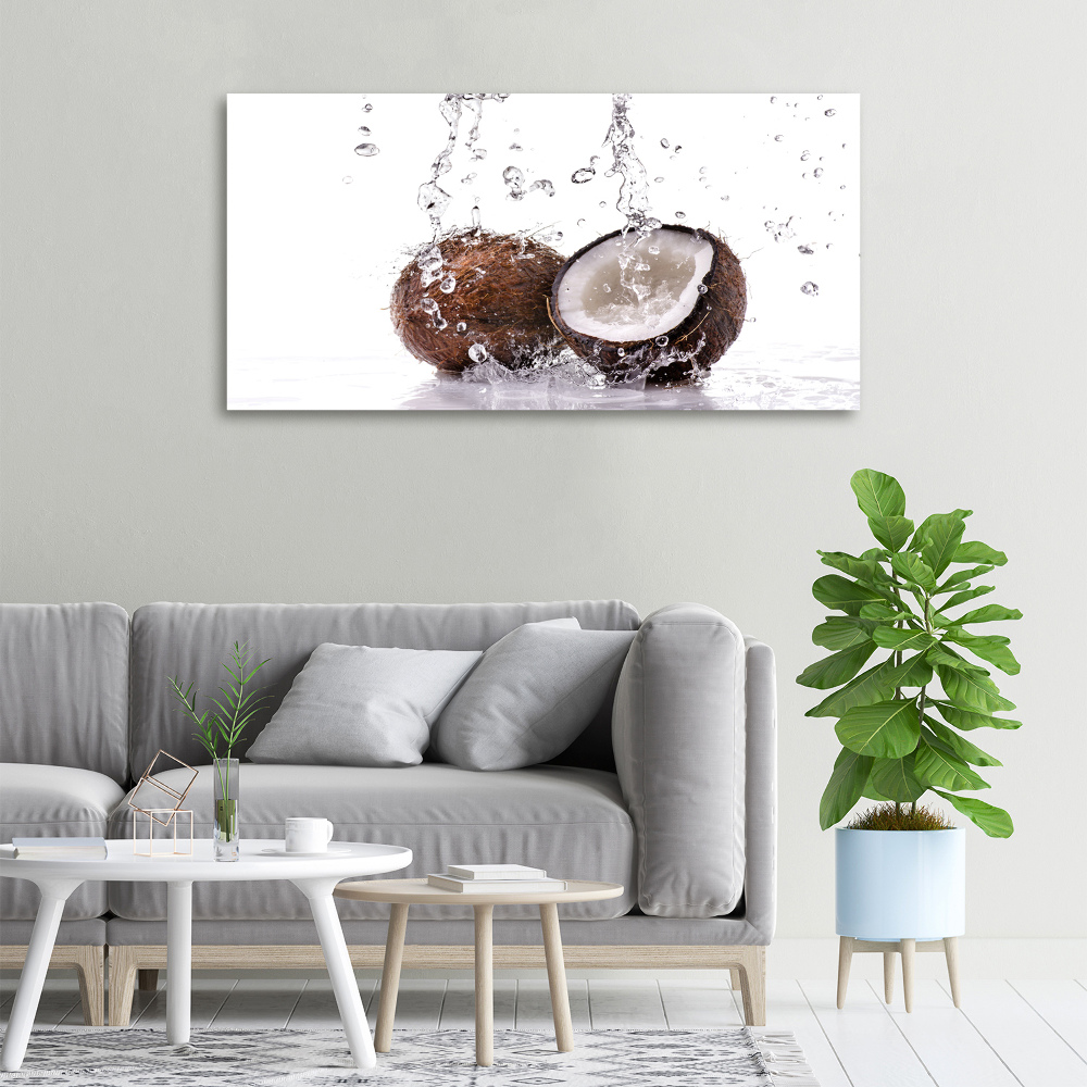 Tableau imprimé sur toile Noix de coco et eau