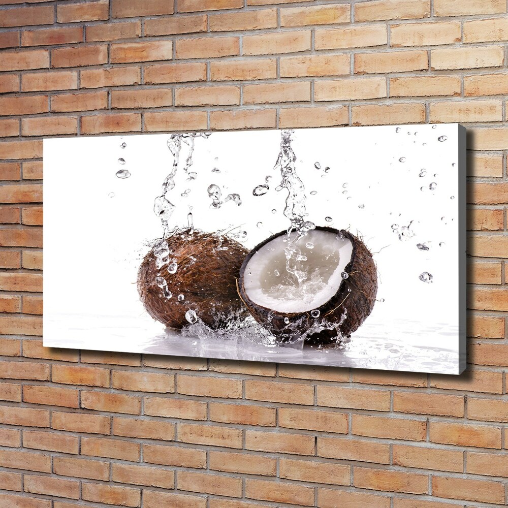 Tableau imprimé sur toile Noix de coco et eau