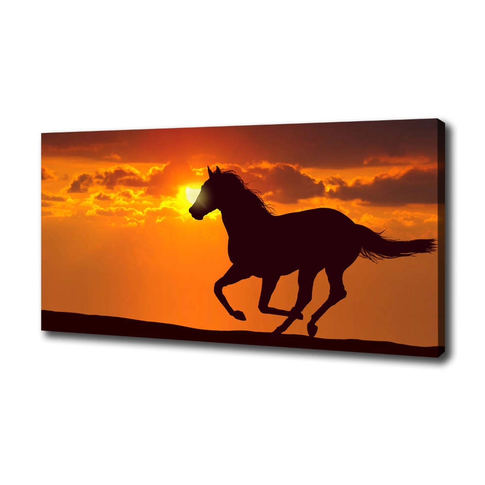 Tableau imprimé sur toile Cheval au coucher du soleil