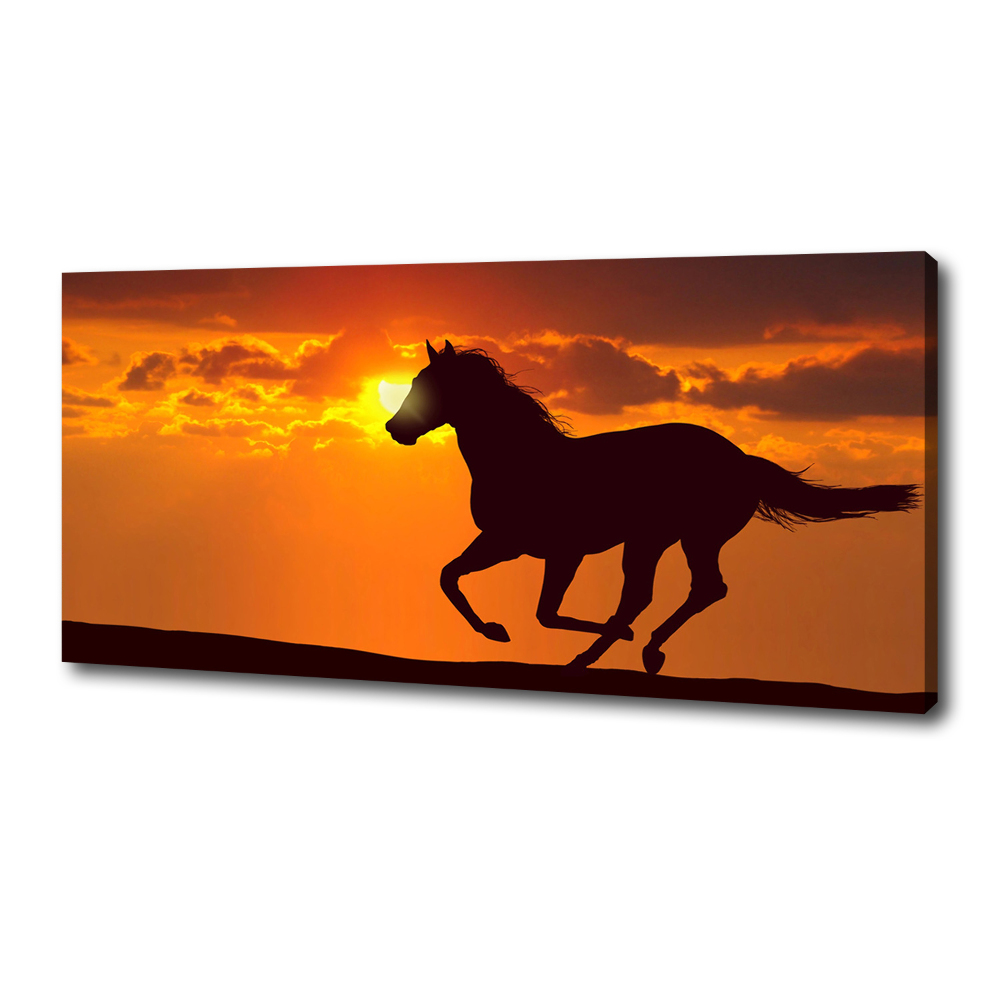 Tableau imprimé sur toile Cheval au coucher du soleil