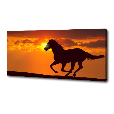 Tableau imprimé sur toile Cheval au coucher du soleil