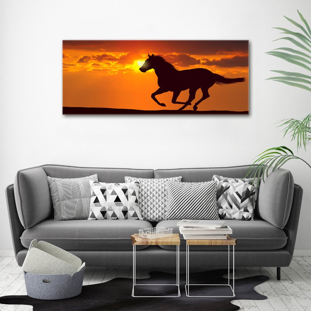 Tableau imprimé sur toile Cheval au coucher du soleil