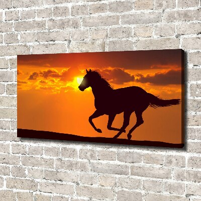 Tableau imprimé sur toile Cheval au coucher du soleil