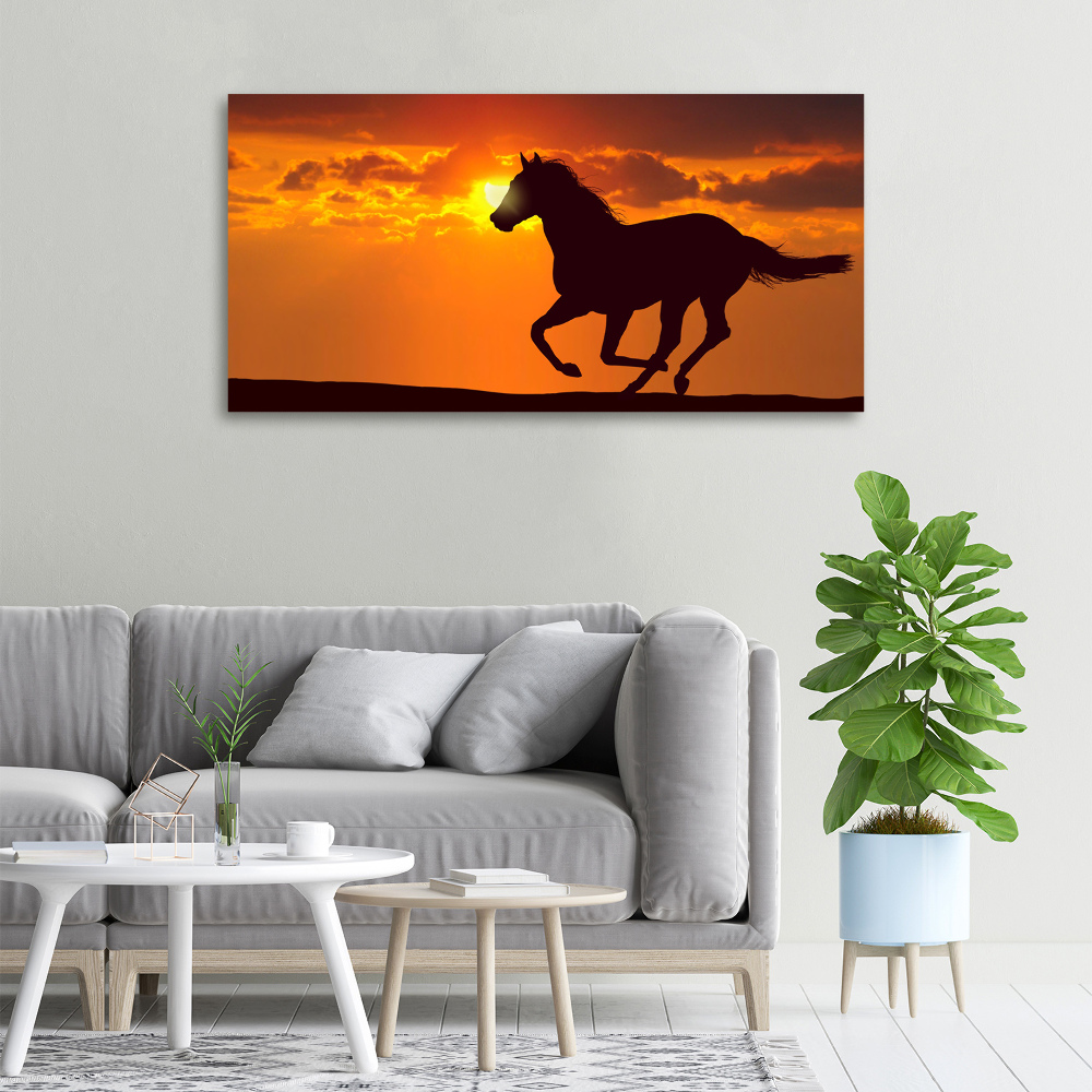 Tableau imprimé sur toile Cheval au coucher du soleil