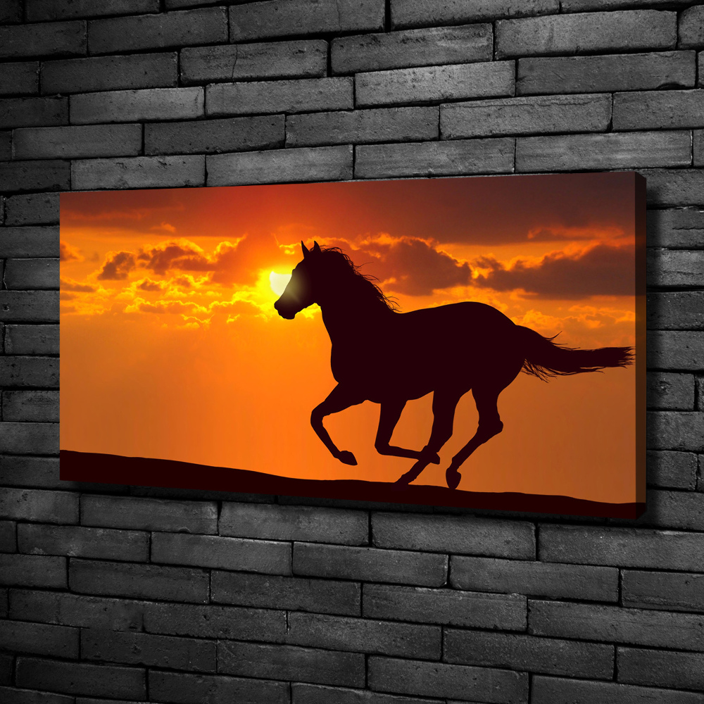 Tableau imprimé sur toile Cheval au coucher du soleil