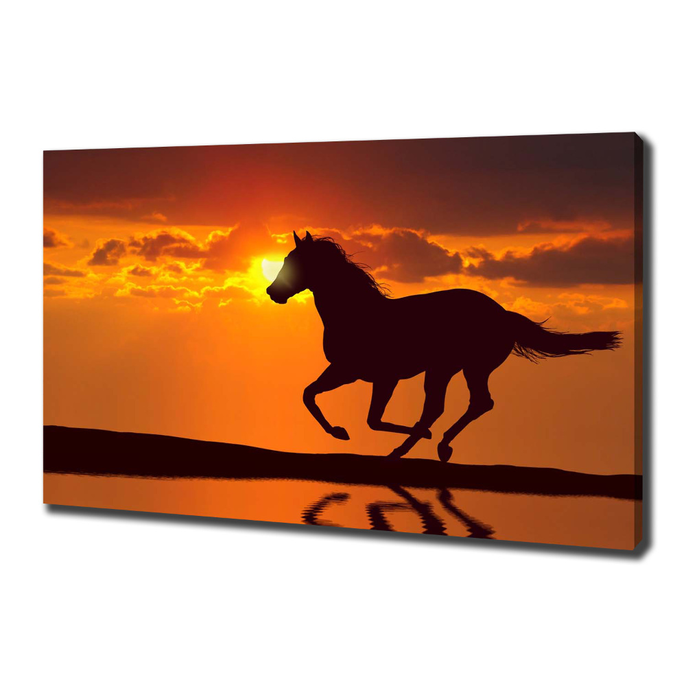 Tableau imprimé sur toile Cheval au coucher du soleil