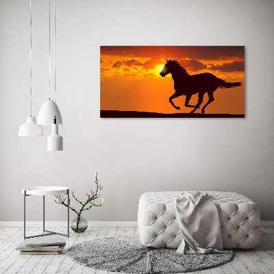 Tableau imprimé sur toile Cheval au coucher du soleil