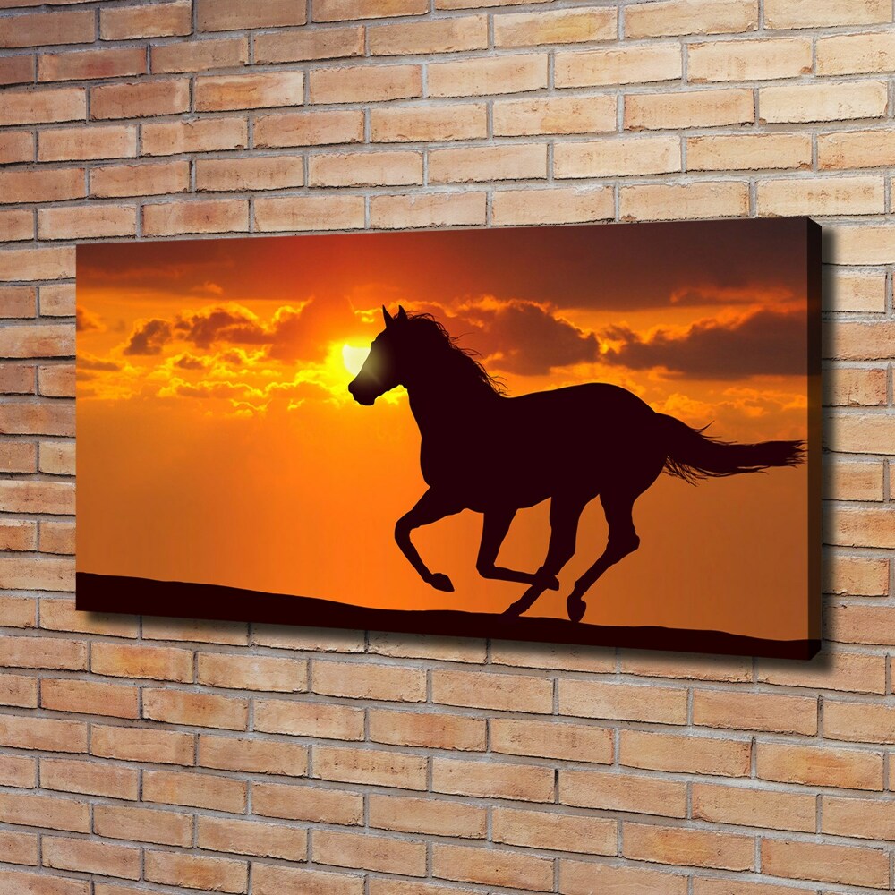 Tableau imprimé sur toile Cheval au coucher du soleil