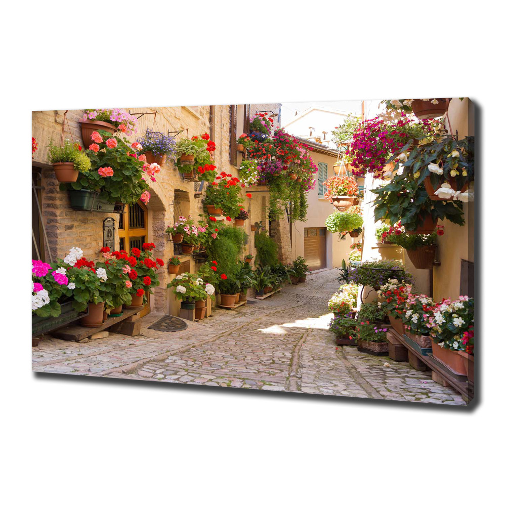 Tableau photo sur toile Jolie rue