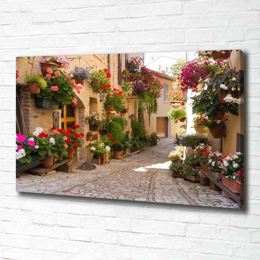 Tableau photo sur toile Jolie rue