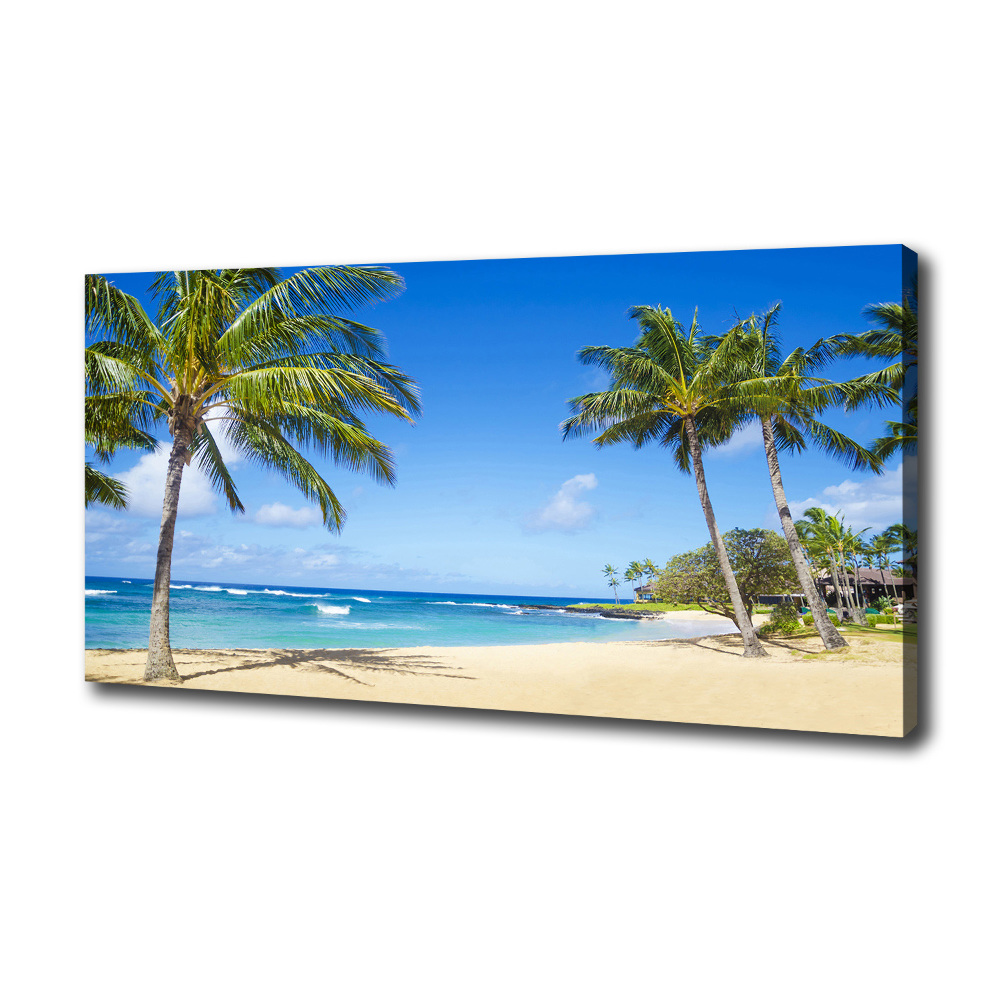 Tableau sur toile Plage tropicale palmiers