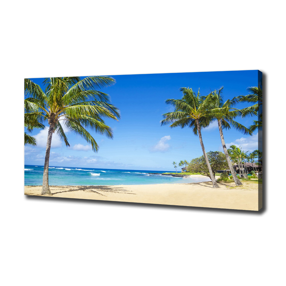 Tableau sur toile Plage tropicale palmiers