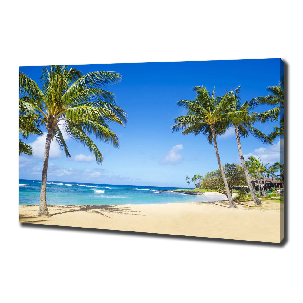 Tableau sur toile Plage tropicale palmiers