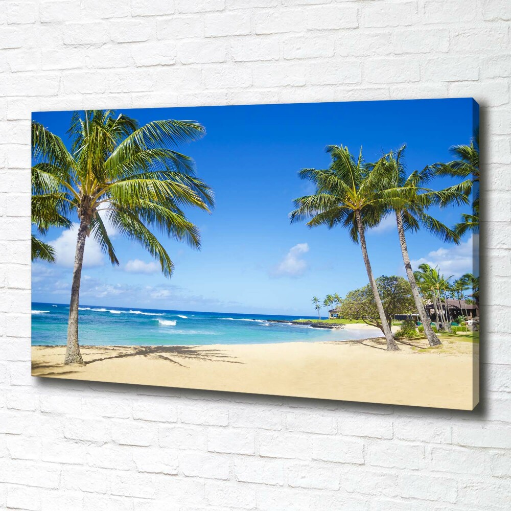 Tableau sur toile Plage tropicale palmiers