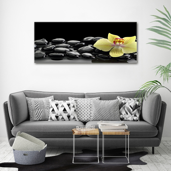 Tableau mural sur toile Orchidée