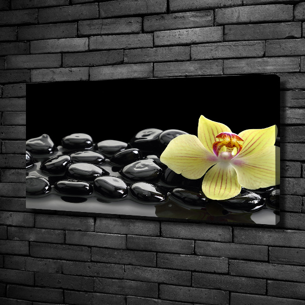 Tableau mural sur toile Orchidée