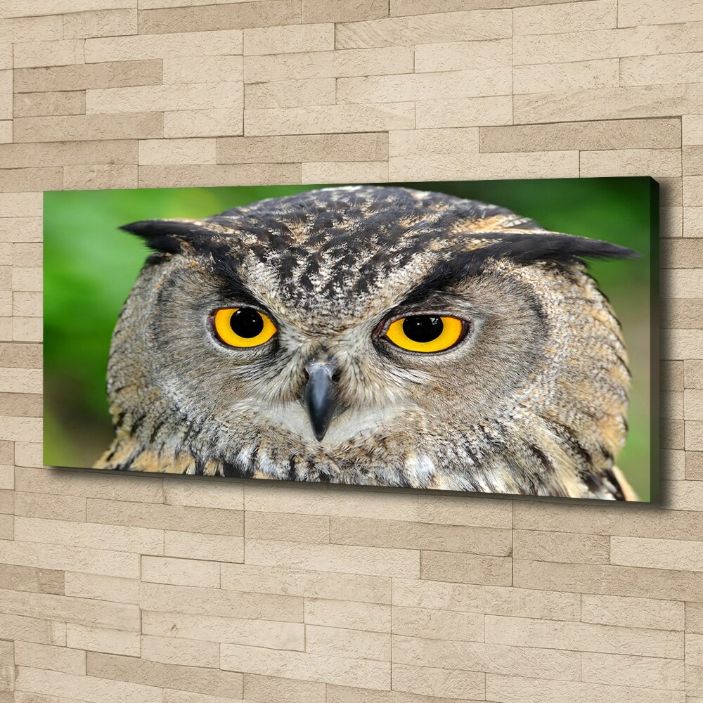 Tableau photo sur toile Hibou