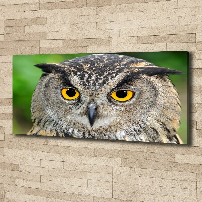 Tableau photo sur toile Hibou