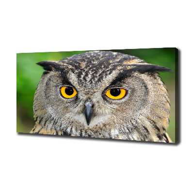 Tableau photo sur toile Hibou