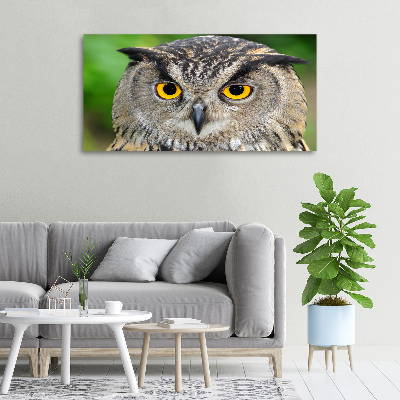 Tableau photo sur toile Hibou