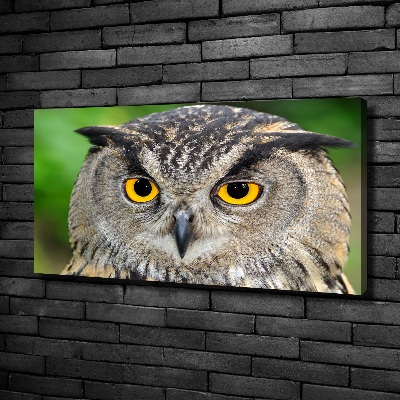 Tableau photo sur toile Hibou