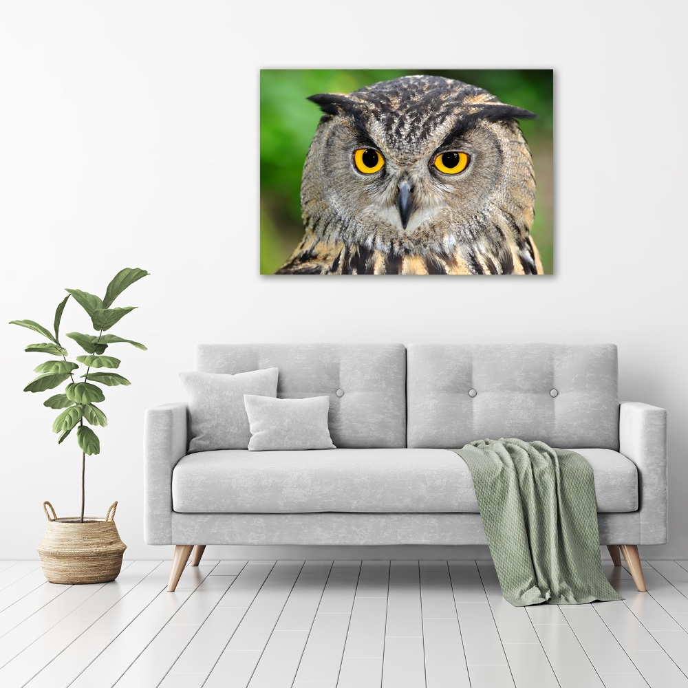 Tableau photo sur toile Hibou