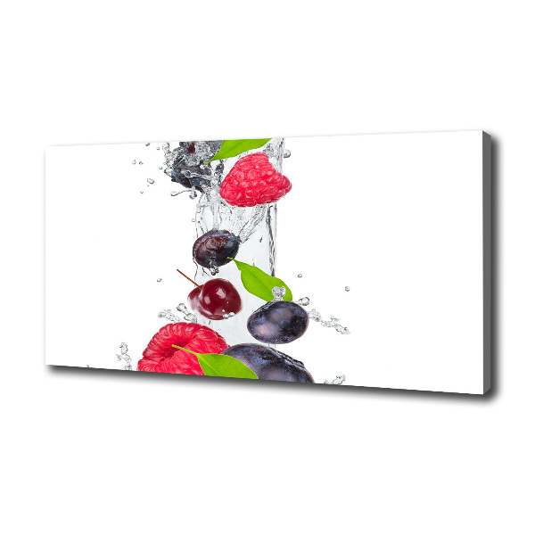 Tableau imprimé sur toile Fruits et eau