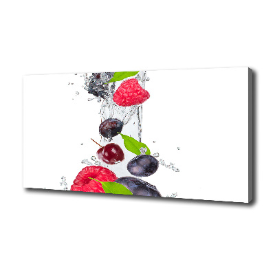 Tableau imprimé sur toile Fruits et eau