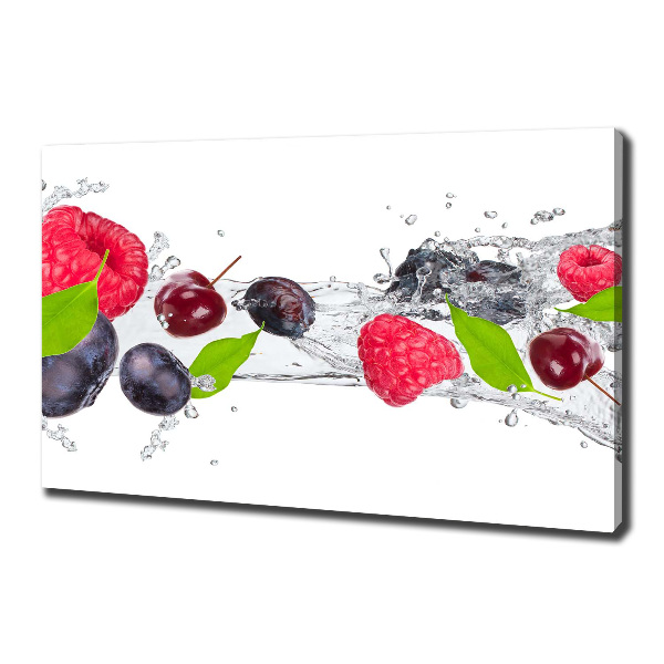 Tableau imprimé sur toile Fruits et eau