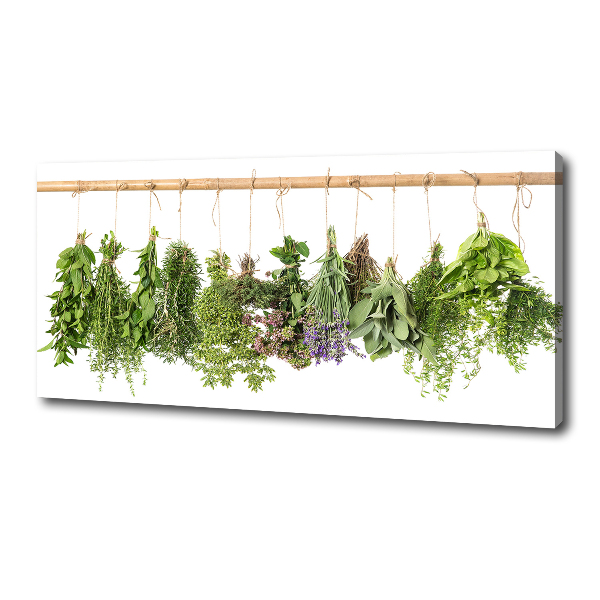 Tableau photo sur toile Herbes sur un fil