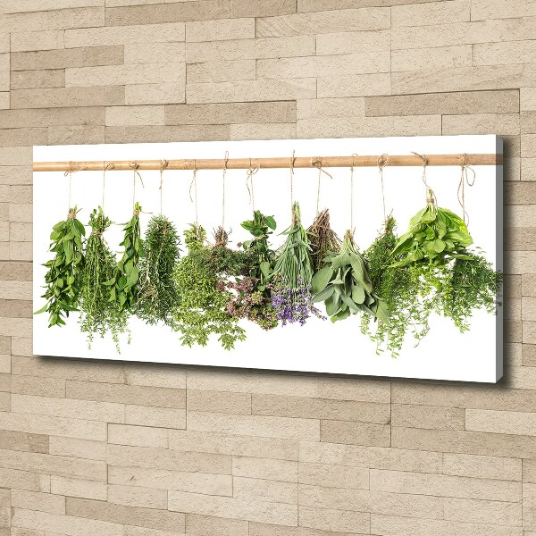 Tableau photo sur toile Herbes sur un fil