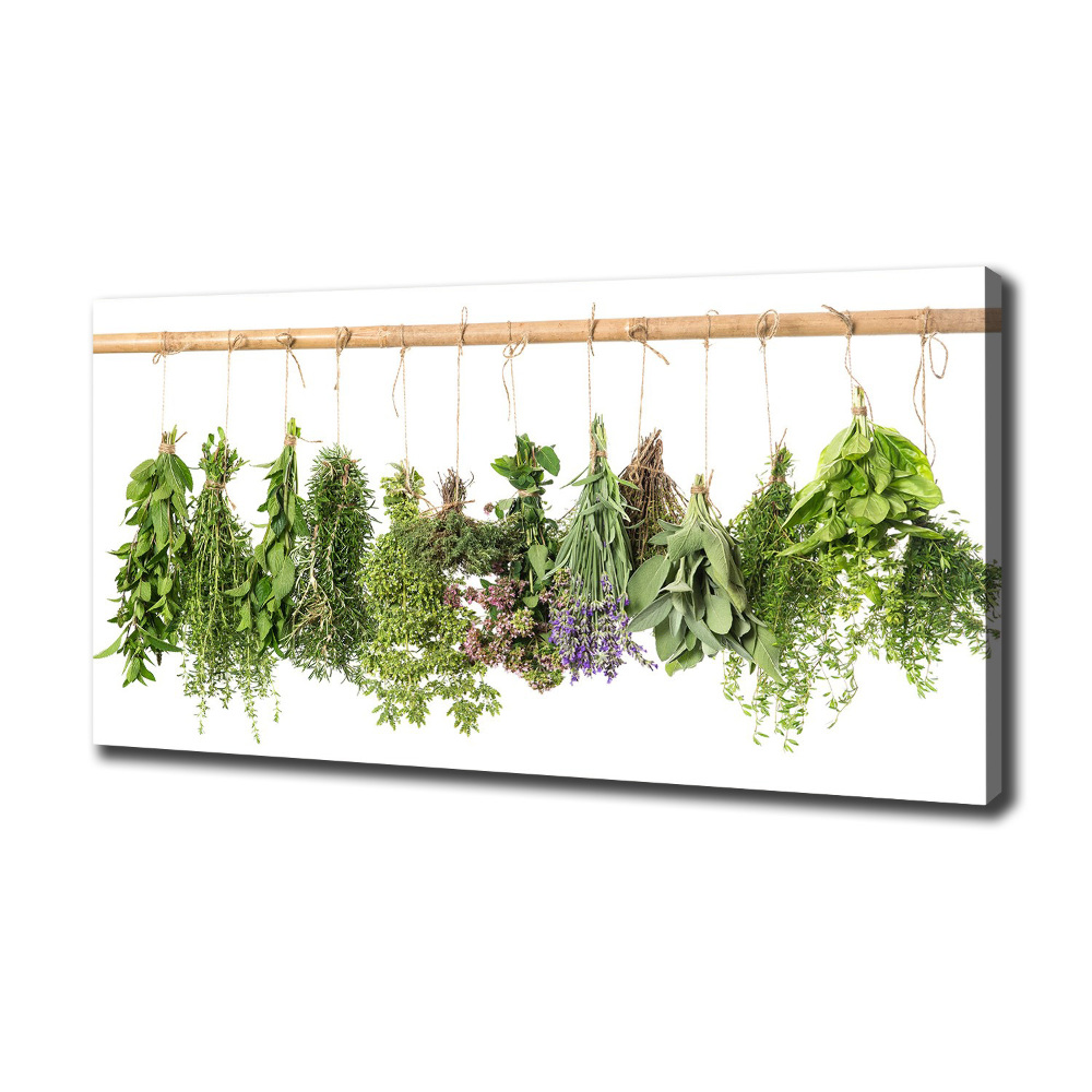 Tableau photo sur toile Herbes sur un fil