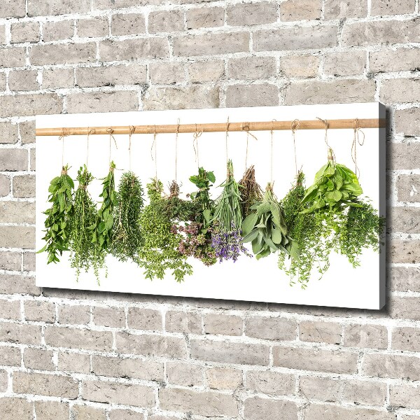 Tableau photo sur toile Herbes sur un fil