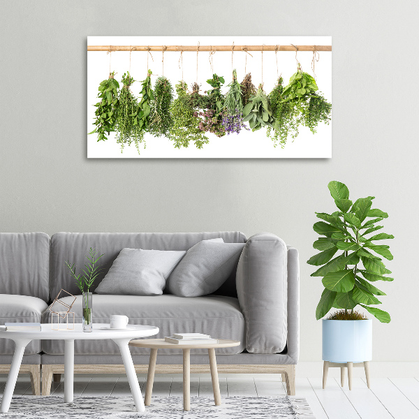 Tableau photo sur toile Herbes sur un fil