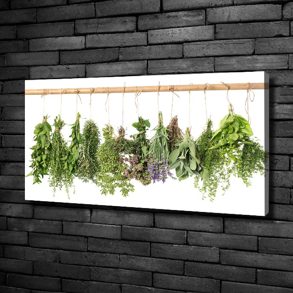 Tableau photo sur toile Herbes sur un fil