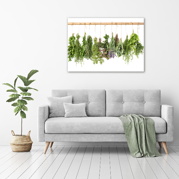 Tableau photo sur toile Herbes sur un fil