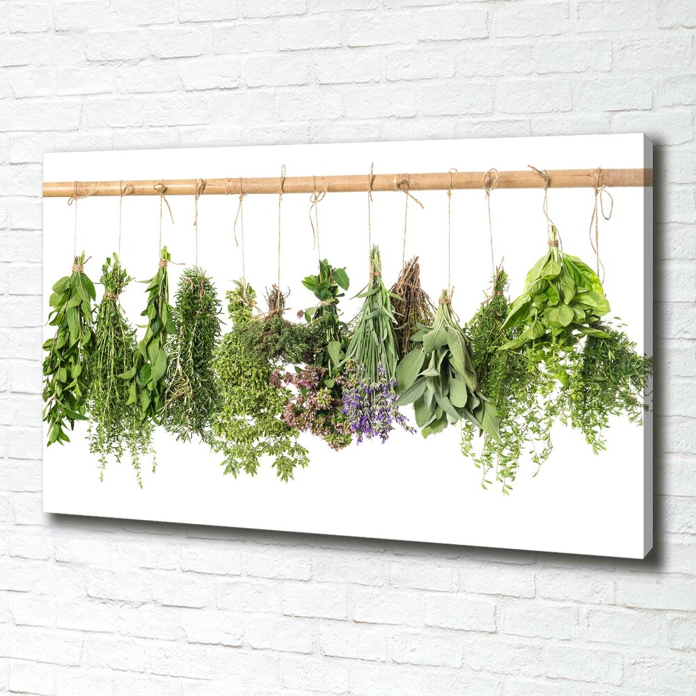 Tableau photo sur toile Herbes sur un fil